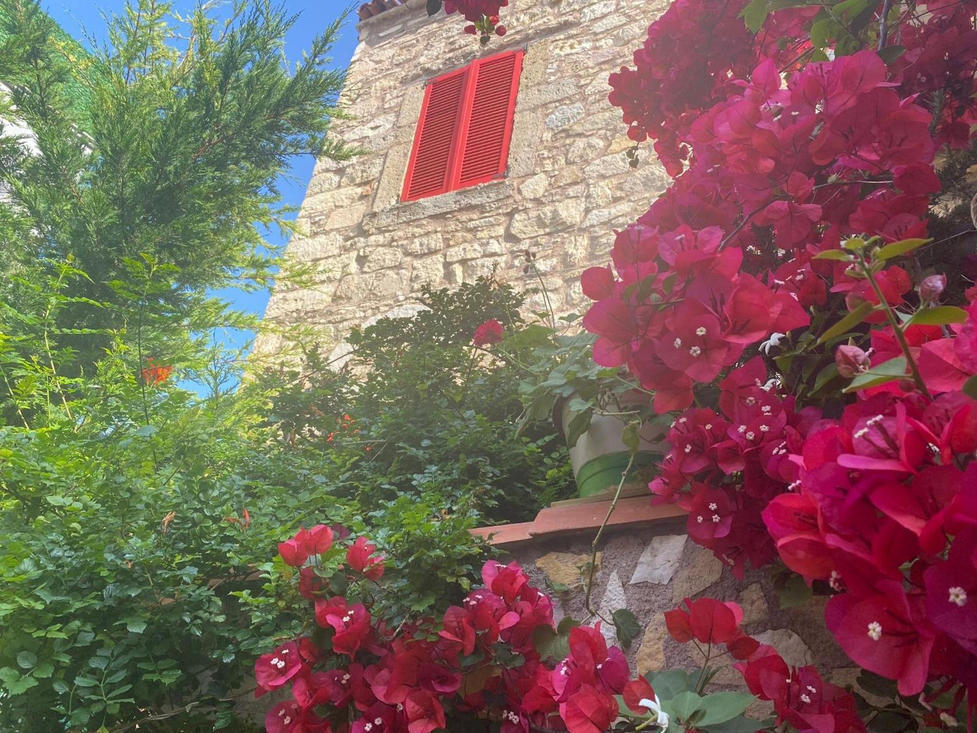 Marissa Boutique Hotel Çeşme المظهر الخارجي الصورة